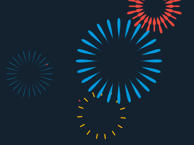 Narayani Fireworks