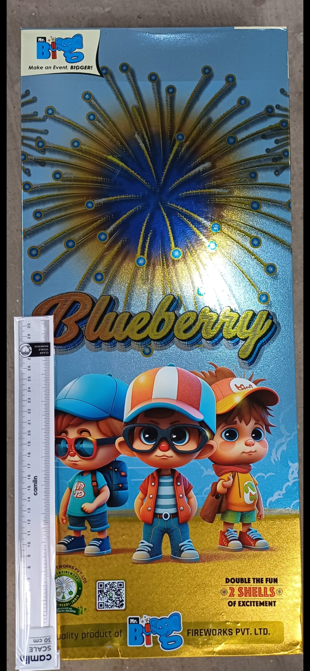 Blueberry 4 INCH